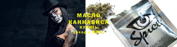 apvp Алзамай