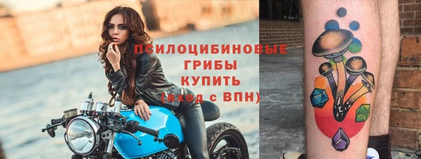 винт Алексеевка