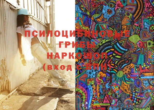 мдпв Алексин