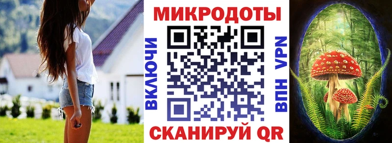 KRAKEN ТОР  Славск  Галлюциногенные грибы Psilocybe 